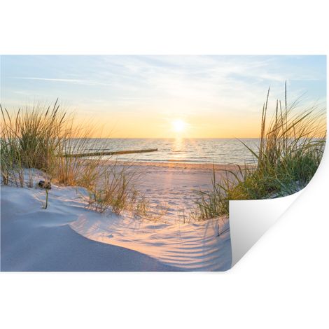 ADHESIVO DE PARED Playa - Sol - Duna - Hierba - Arena - Horizonte 60x40 (1/5)