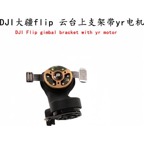 DJI Flip Gimbal-Halterung mit YR-Motor, Demontage- und Reparaturteile für die DJI Flip Drohne auf Lager. (1/5)