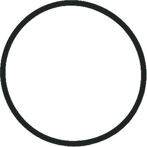 SYR O-Ring tazza filtro per Drufi+, 2315.01.922