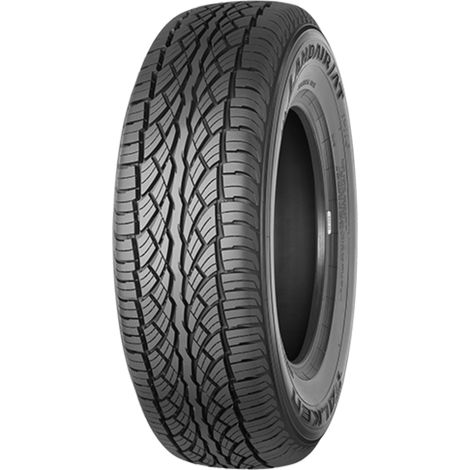 FALKEN Pneus été 215/70 R16 TL 99H LANDAIR LA/AT T110 M+S (1/5)
