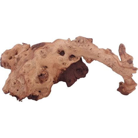 XL Mopani Wurzel Nr.4672 Holz Deko Aquascaping