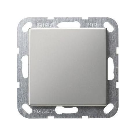 Gira Zentralplatte Blindabd 1-fach Edelstahl System 55 0268600 Schraubbef (1/5)