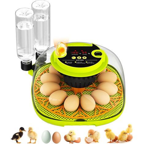 Couveuse Oeuf Automatique, Couveuse 12 Oeufs Retournement Automatique des Œufs, Contrôle de la Température et de l’Humidité Convient à l’Incubation des Œufs de Poule, Canard, Oie, Caille (1/5)