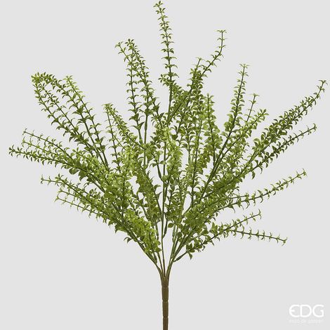 EDG Enzo De Gasperi Pianta Artificiale Ruscus Cespuglio H 54 Cm Verde – Pianta Decorativa Realistica Design Moderno