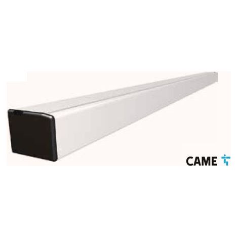 Kit Automatisme FLUO-SLBE porte piétonne 1 vantail CAME 8K18SL-004