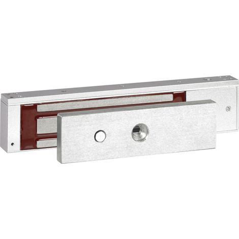 Ventouse Premium 300kg (005570)