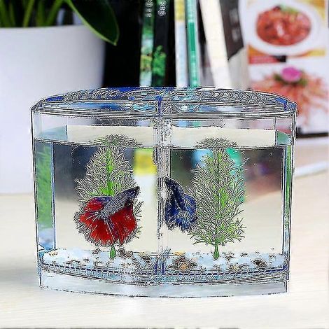 Aquarium d'élevage pour betta, incubateur pour petits bettas, mini boîte d'isolement double (1/5)