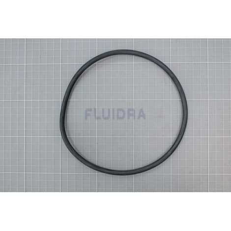 Junta torica de la tapa para filtro AstralPool de AstralPool
