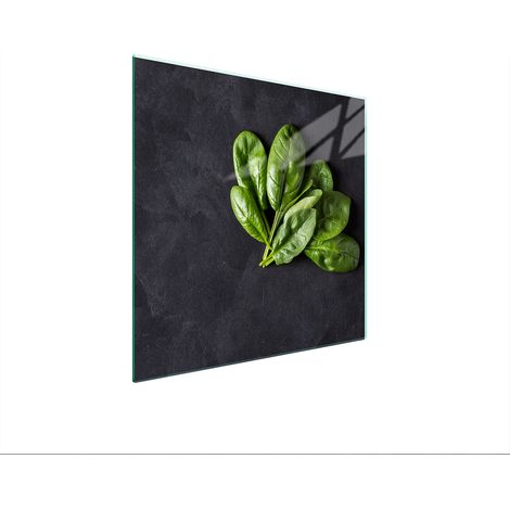 PLACA PROTECTORA DE VIDRIO PARA ESTUFA 50x52 BASIL (1/5)
