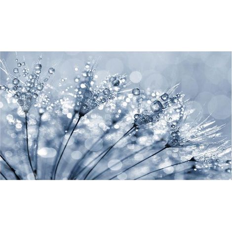 Lupia Quadro Moderno, Vetro Acrilico Plexy, Facile da appendere, da parete, stampa con Colori intensi, prodotto in Italia, 100x150 cm DANDELION BLU (1/4)
