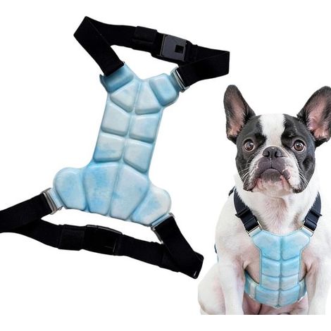 Kühljacke für Hunde – Kühlweste für Hunde – Geeignet für Aktivitäten bei warmem Wetter – Hohe Wärmeableitung – Größe S – Blau (1/5)
