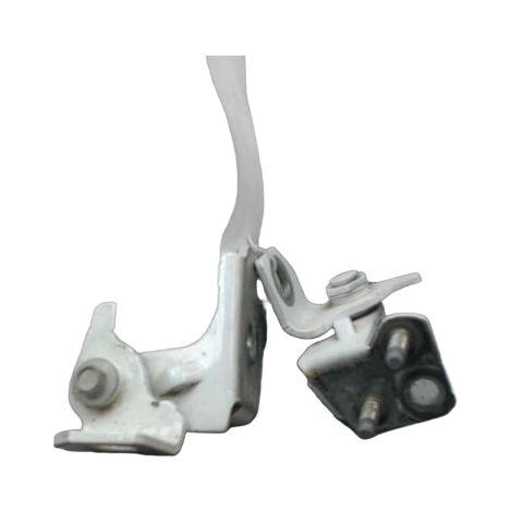 Charnière Porte Arg FORD Ka+ [PRODUIT D'OCCASION]♻️1906959