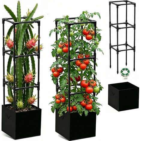 Dragon Fruit Trellis for Cucumbers and Cut Fruits (1 Piece) (1/5)