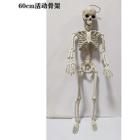 Lot de 2 squelettes d'Halloween de 40 cm (15,75 pouces) entièrement articulés, avec des articulations mobiles, pour la décoration d'Halloween (1/5)