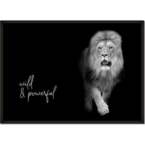 CUADRO, PÓSTER ENMARCADO 53x73 cm Animales P624 (1/4)