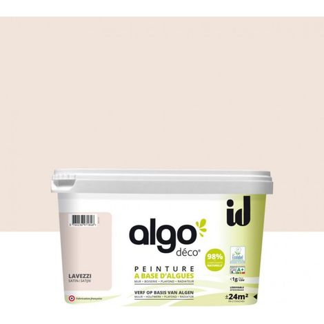 Peinture écologique Algo - Gris Anthracite - 2L / Satin (1/5)