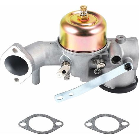 Carburateur pour moteur Briggs Stratton 491026/281707/491031 12hp (1/5)