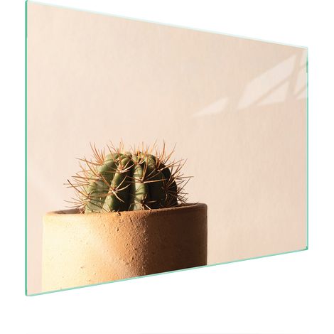 PLACA PROTECTORA DE VIDRIO PARA ESTUFA 70x52 CACTUS (1/5)