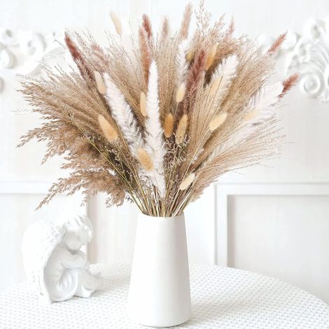 Herbe de la Pampa séchée 40 tiges déco maison salon vase naturel fluffi moelleux cadeau mariage bohème (1/5)