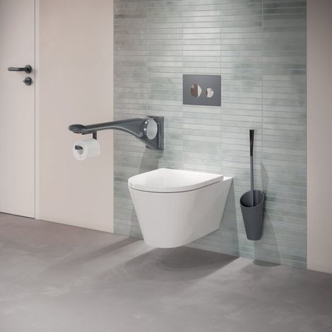 HEWI 801.20B100 92 Ensemble brosse WC Série 801, mat (1/3)