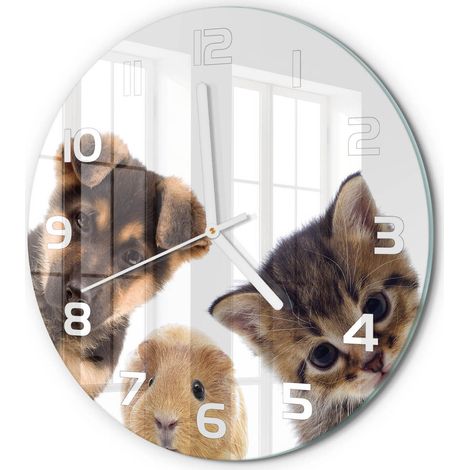 Horloge Murale Ronde Originale en Verre Silencieuse Design Moderne Salon Animaux de compagnie fi 30 cm (1/5)
