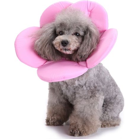 Collier De Protection Pour Chien - Tissu Et Peluche Courte - Réglable - Convient Aux Plaies En Cours De Guérison - Taille M (1/5)
