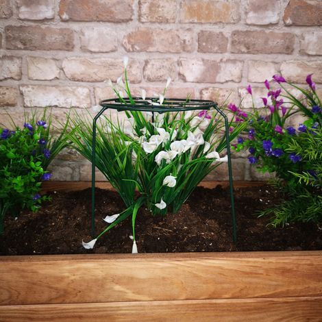 Tom Chambers Urban Dark Green Metal Herbaceous Garden Plant Support Grow Through Small 40cm x 20cm (1/5)
