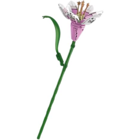 Pflanzenstrauß – Künstliches Blumenarchitektur-Set – Tischdekoration oder Blumenstrauß für Zuhause – Geschenkidee für Mädchen, Jungen und Teenager ab 8 Jahren – Pflanzenkollektion (1/5)