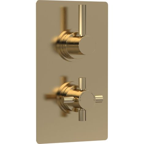 Hudson Reed Tec Pura Concealed Shower Valve with Diverter Dual Handle - Brushed Brass (1/2)