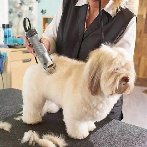 Ciseaux de toilettage pour chiens 4F, lame en céramique détachable de 9,5 mm (1/4)