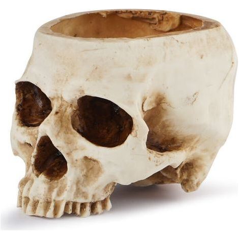 Maceta de Calavera de Resina, Jarrón de Calavera, Modelo de Cabeza de Resina para Halloween y Fiestas, Decoración de Interior (1/5)