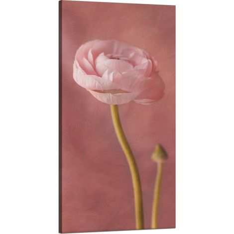 Lienzo impreso Botánica Peonía rosa 60x120 cm