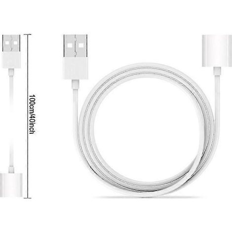 Câble adaptateur de charge USB pour Apple Pencil (iPad Pro 2024) - 1 m
