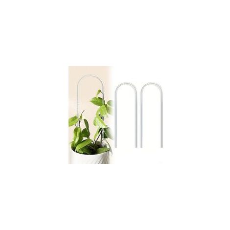 Lot de 2 supports pour plantes grimpantes en forme de U, structure en acrylique pour plantes grimpantes d'intérieur, fleurs, monstera, lierre, glycine, hoya, 40 x 10 x 0,5 cm