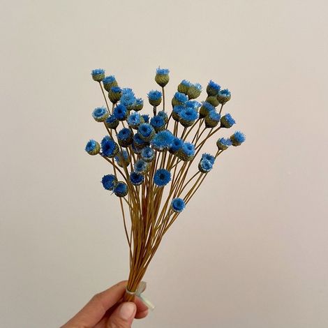 Flores artificiales, ramos de flores secas, ramos naturales, decoraciones de flores secas en botellas, 50 tallos (1/4)