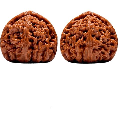 Noix de Wenwan naturelles de qualité supérieure non polies pour le massage des mains, la réduction du stress et de l'anxiété, et la réflexologie. (1/5)