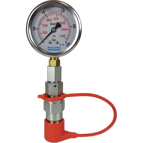 Messset, Manometer 0-1000 bar, Schnellkupplung (1/5)