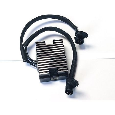 Accessoires moto compatibles avec les modèles Harley-Davidson Sportster XL 2004-2013 (1/4)