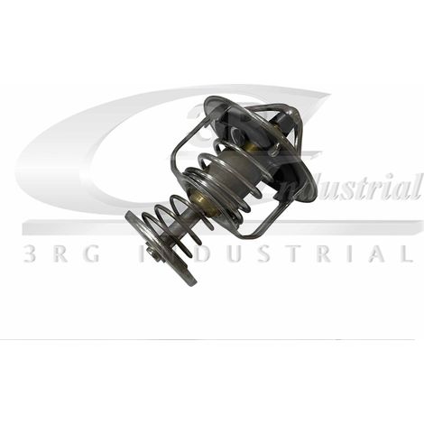 3RG 86288 TERMOSTATO