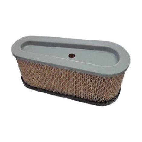 Cartuccia filtro aria rasaerba tagliaerba TRATTORINO BRIGGS&STRATTON 100008 3-017
