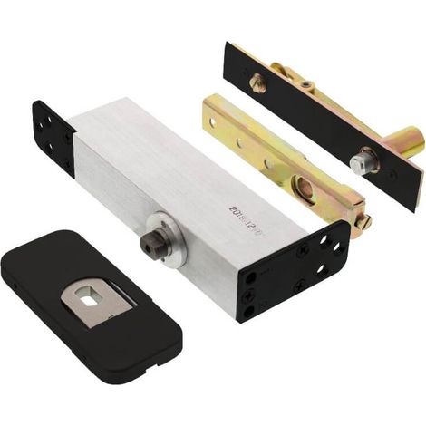 Charnière de porte pivotante Rotura jusqu’à 75 kg noir - 0023.462701 (1/3)