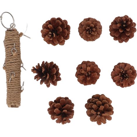 Jouet à Mâcher pour Perroquets en Cône de Pin avec Crochet Métallique, 20cm - Pour Bec et Divertissement (1/5)