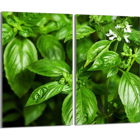 Placa protectora de vidrio para estufa 2x30x52 Albahaca (1/5)