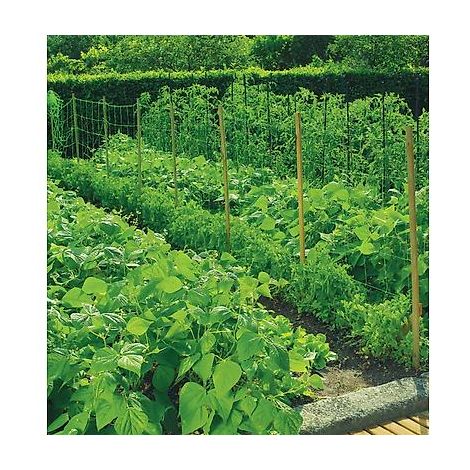 FILET A RAMER - 5 X 2 M - Protection