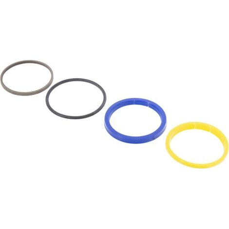 Set guarniz.per cilin.sterzo CARRARO CI049097