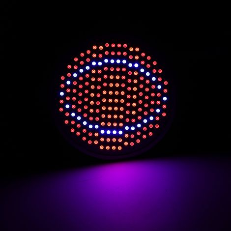 Lampe de croissance pour plantes 24 W, 200 LED, culot E27, pour la culture hydroponique de fleurs et de légumes, 85-265 V (1/5)