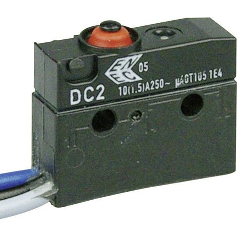 ZF DC2C-C3AA Mikroschalter DC2C-C3AA 250 V/AC 10 A 1 x Ein/(Ein) IP67 tastend 1 St.