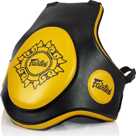 Fairtex TV2 Trainingsgürtel Schwarz/Gold