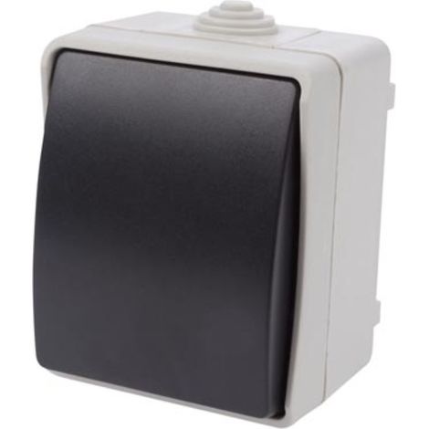 INTERRUPTEUR BIPOLAIRE - USAGE À L'EXTÉRIEUR VELLEMAN EWSW2P (1/2)