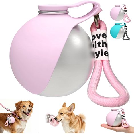 Tragbare Hundewasserflasche, ideal für unterwegs – 284 ml Edelstahl-Wasserflasche mit faltbarem Silikon-Trinknapf – auslaufsichere Wasserflasche für Hunde und Katzen, ideal für Reisen und Camping (Ros (1/5)